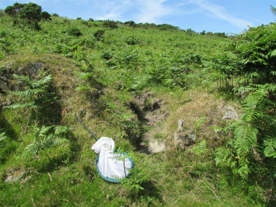nest site