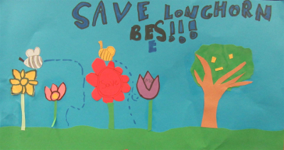 save longhorn bees